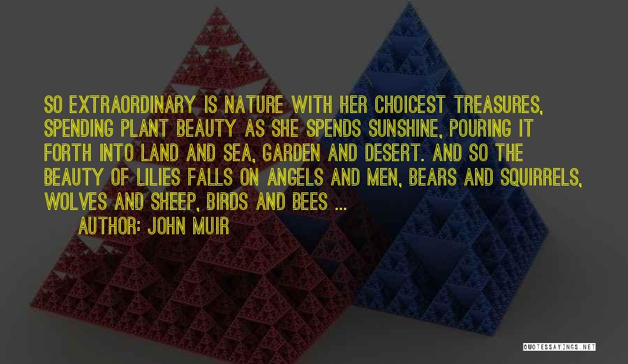 Sunshine And Beauty Quotes By John Muir
