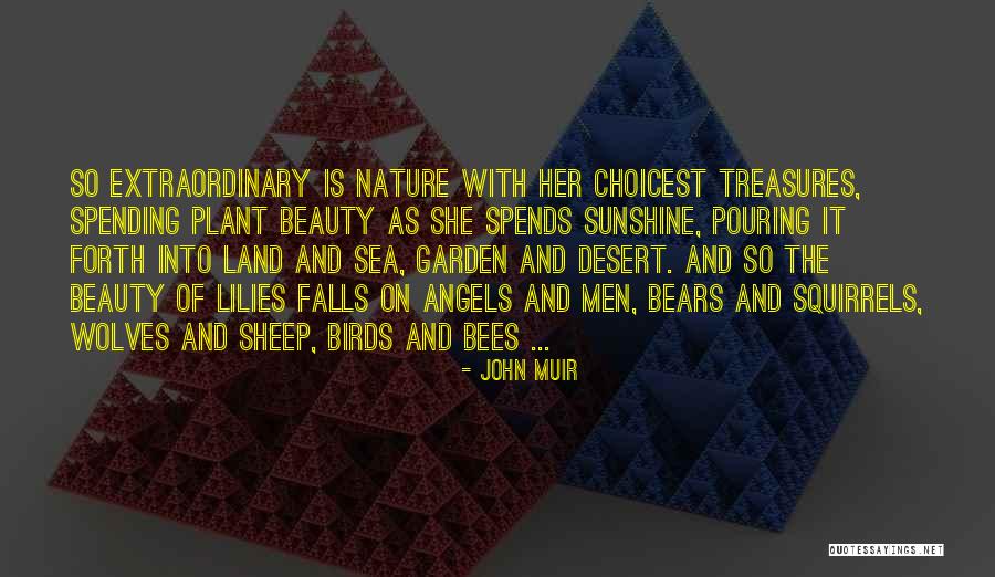 Sunshine And Beauty Quotes By John Muir