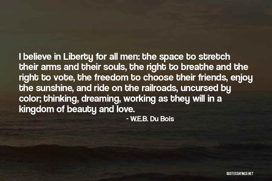 Sunshine And Beauty Quotes By W.E.B. Du Bois