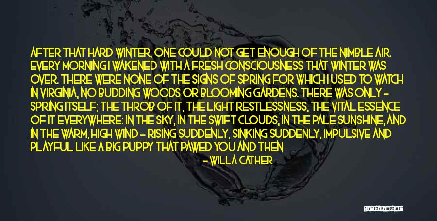 Sunshine And Beauty Quotes By Willa Cather