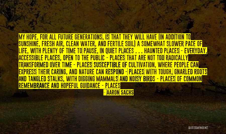 Sunshine And Children Quotes By Aaron Sachs Sunshine And Children Quotes By Aaron Sachs