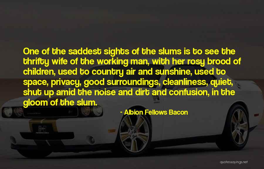 Sunshine And Children Quotes By Albion Fellows Bacon Sunshine And Children Quotes By Albion Fellows Bacon
