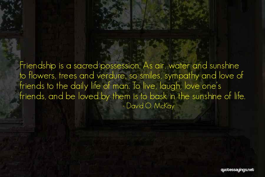 Sunshine And Friends Quotes By David O. McKay