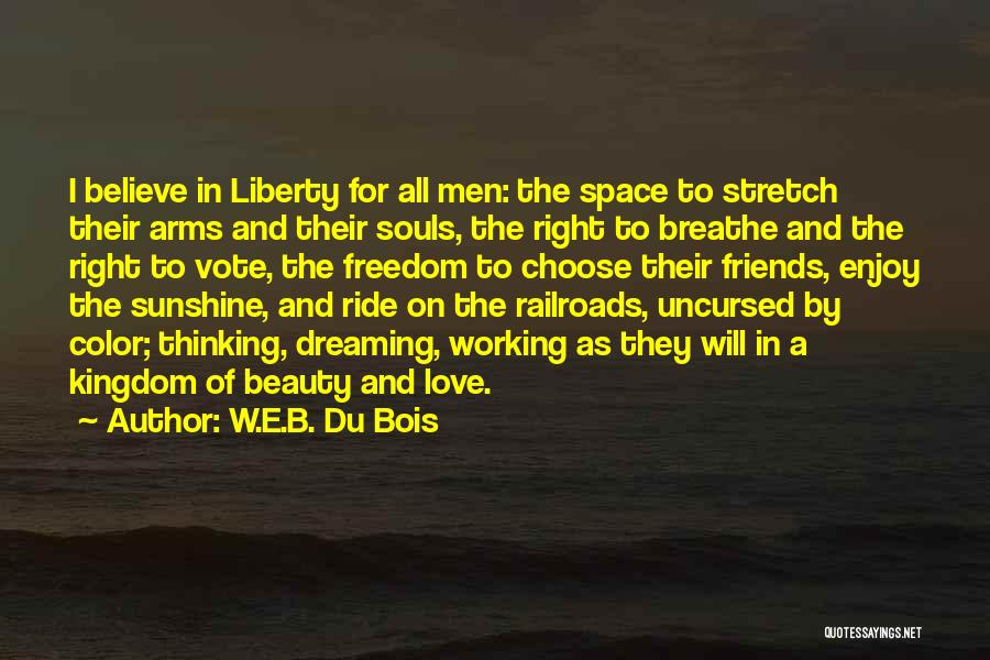 Sunshine And Friends Quotes By W.E.B. Du Bois