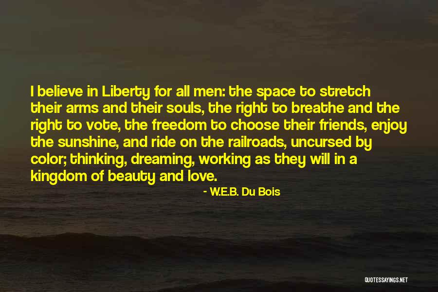 Sunshine And Friends Quotes By W.E.B. Du Bois