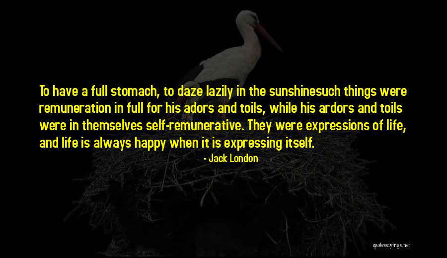 Sunshine And Life Quotes By Jack London