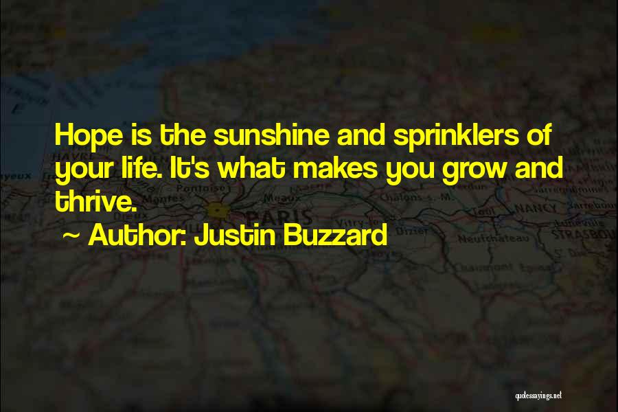 Sunshine And Life Quotes By Justin Buzzard