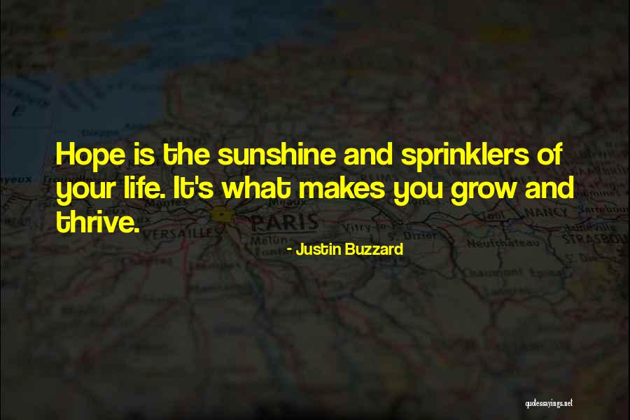 Sunshine And Life Quotes By Justin Buzzard