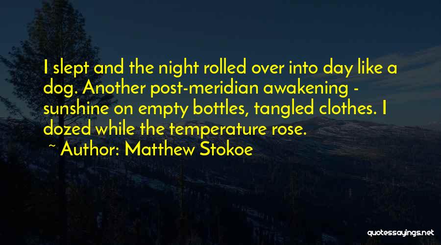 Sunshine And Life Quotes By Matthew Stokoe