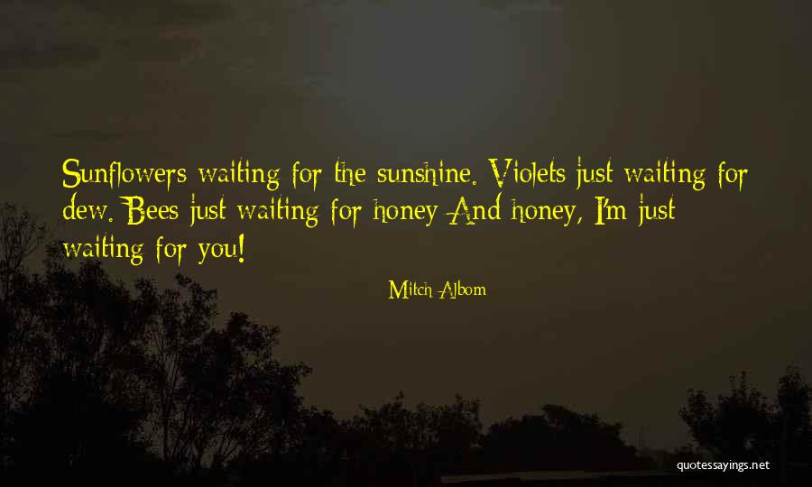 Sunshine And Sunflowers Quotes By Mitch Albom