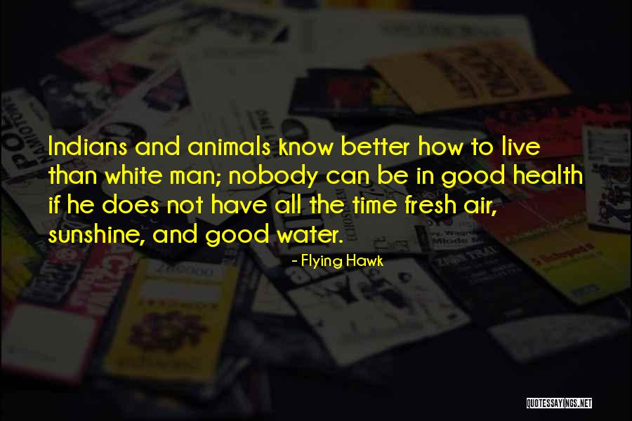 Sunshine And Water Quotes By Flying Hawk Sunshine And Water Quotes By Flying Hawk