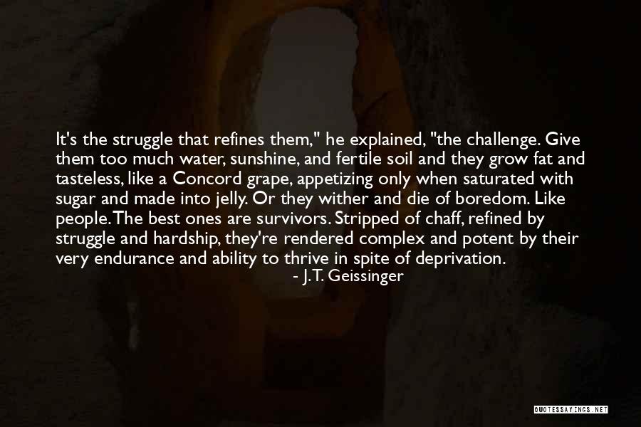 Sunshine And Water Quotes By J.T. Geissinger Sunshine And Water Quotes By J.T. Geissinger
