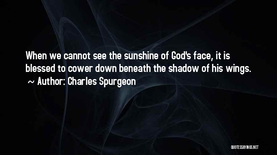 Sunshine In Your Face Quotes By Charles Spurgeon