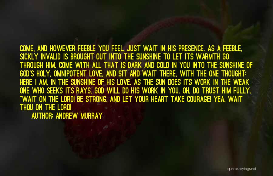 Sunshine In Your Heart Quotes By Andrew Murray