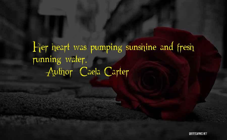 Sunshine In Your Heart Quotes By Caela Carter