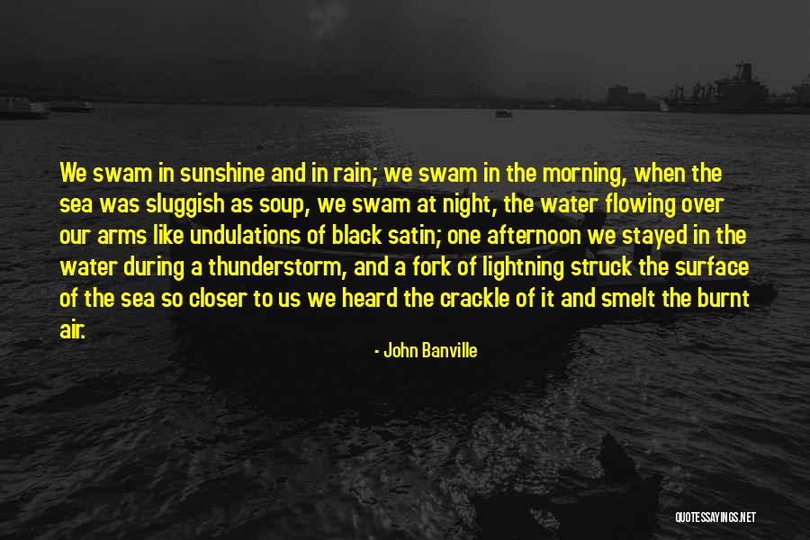 Sunshine Morning Quotes By John Banville