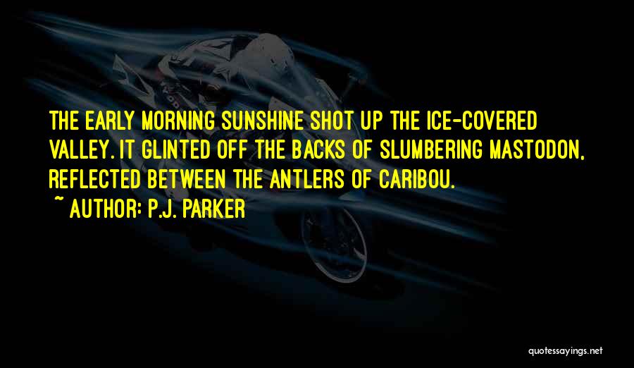 Sunshine Morning Quotes By P.J. Parker