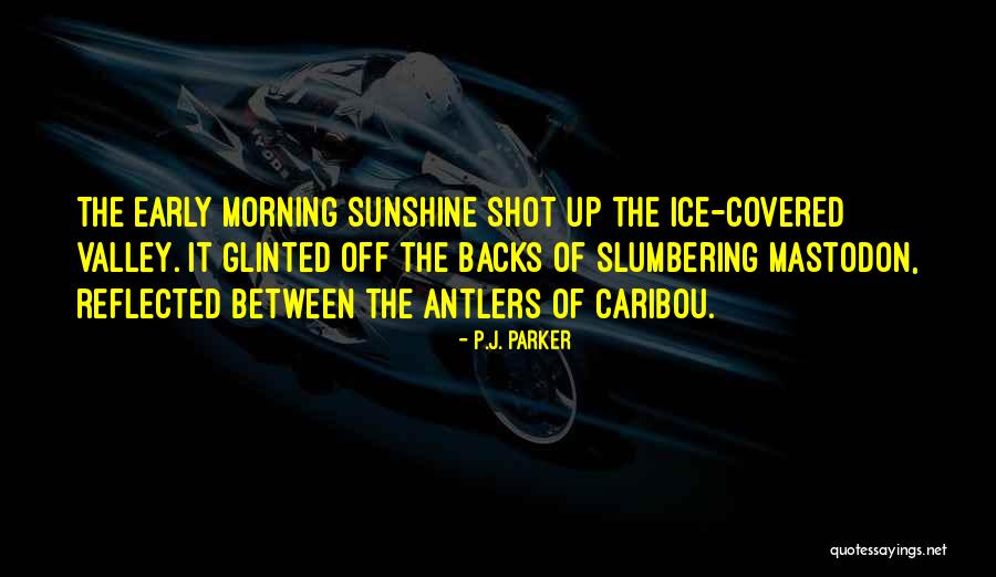 Sunshine Morning Quotes By P.J. Parker