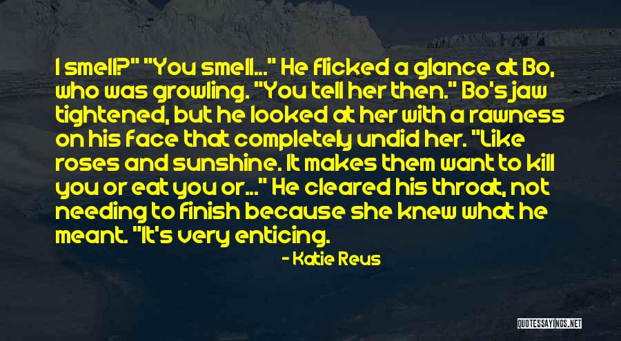 Sunshine On My Face Quotes By Katie Reus