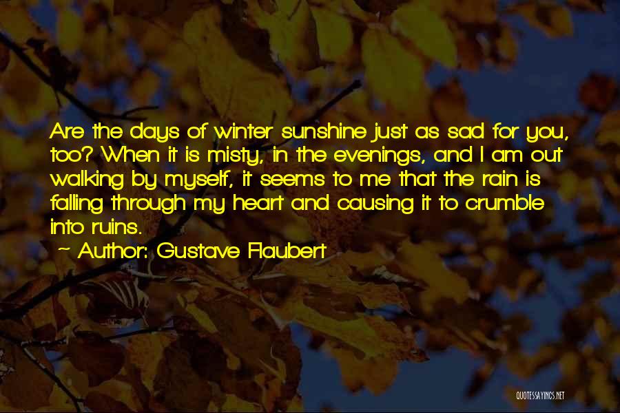 Sunshine Through The Rain Quotes By Gustave Flaubert
