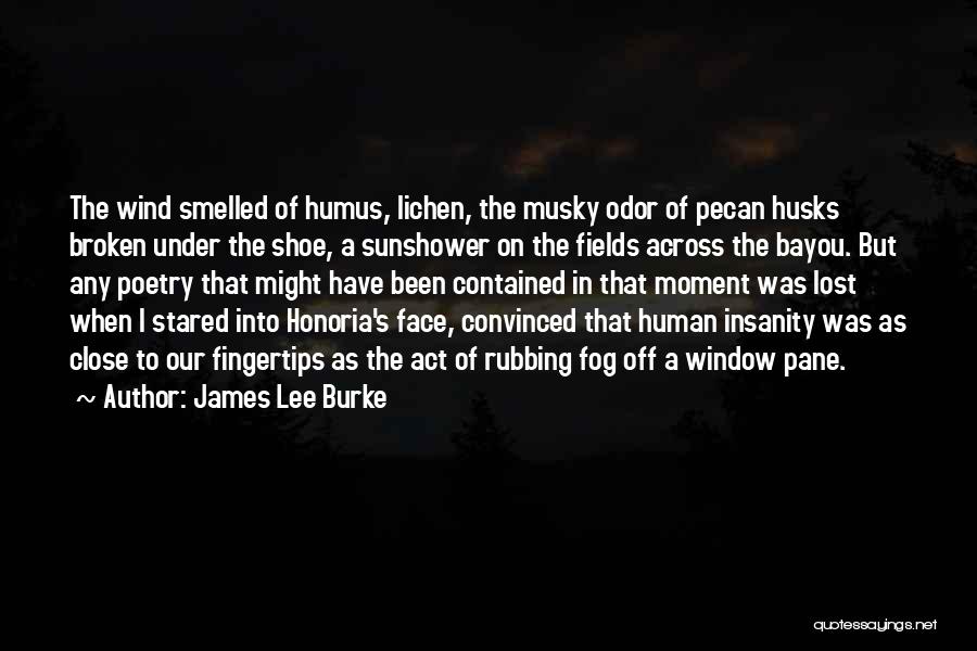 Sunshower Quotes By James Lee Burke