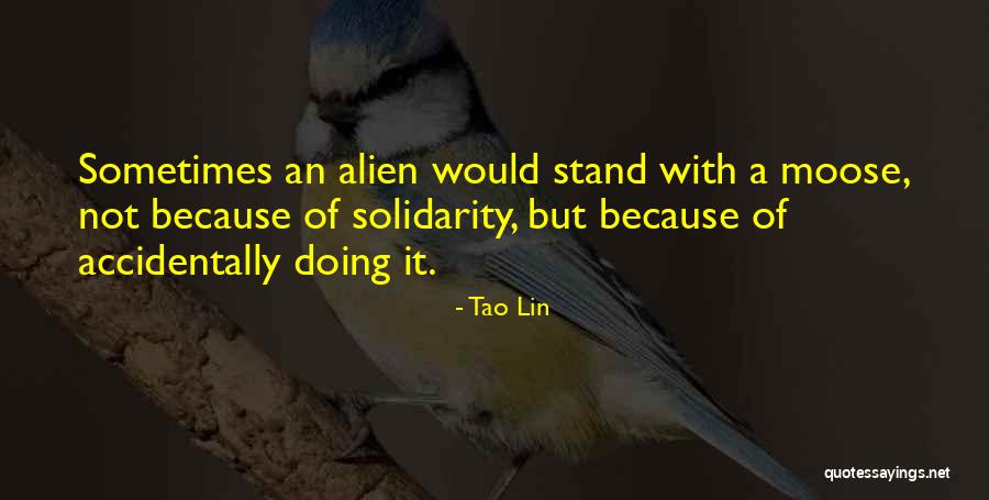 Sunsplash Roseville Quotes By Tao Lin Sunsplash Roseville Quotes By Tao Lin
