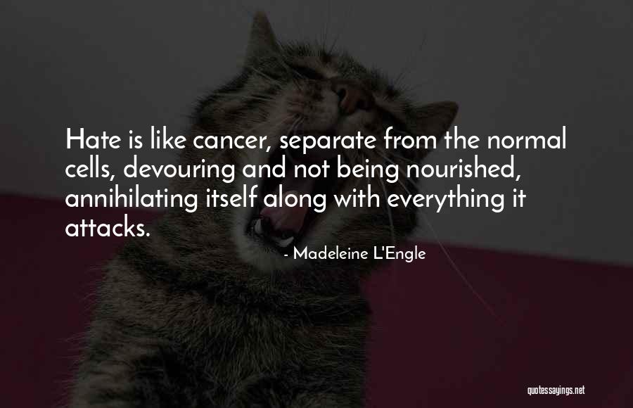 Sunthetics Quotes By Madeleine L'Engle Sunthetics Quotes By Madeleine L'Engle
