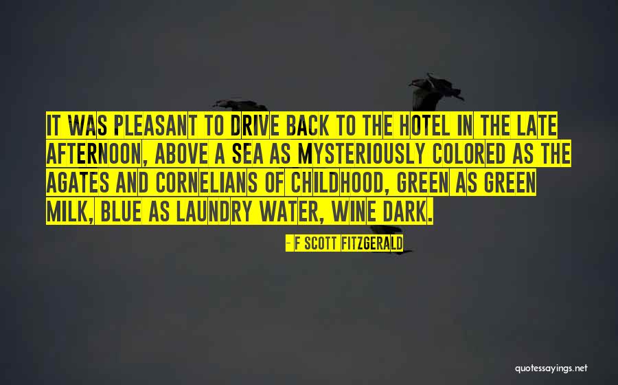 Suntuosos Quotes By F Scott Fitzgerald Suntuosos Quotes By F Scott Fitzgerald
