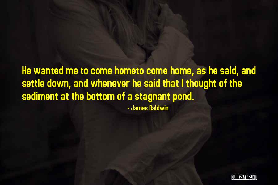 Suole E Quotes By James Baldwin Suole E Quotes By James Baldwin