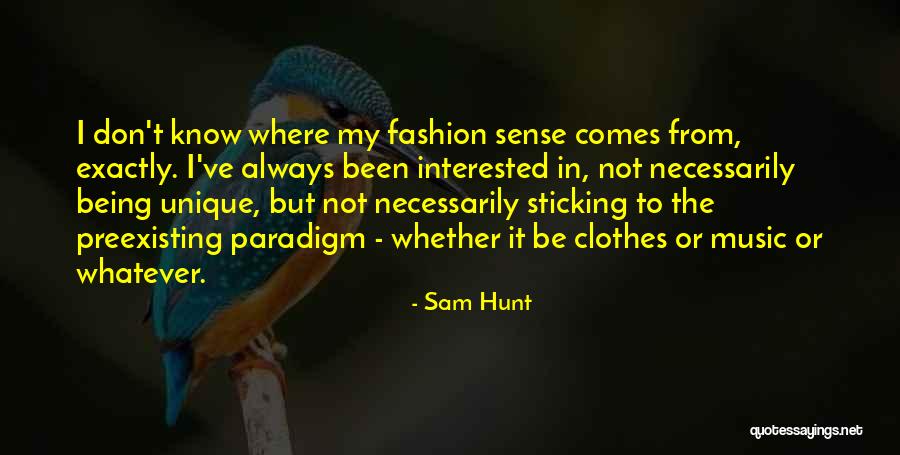 Super Concentrated Platelets Quotes By Sam Hunt