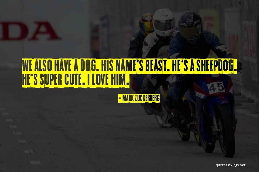 Super Cute Quotes By Mark Zuckerberg Super Cute Quotes By Mark Zuckerberg