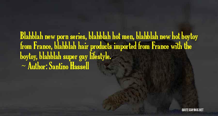 Super Gay Quotes By Santino Hassell