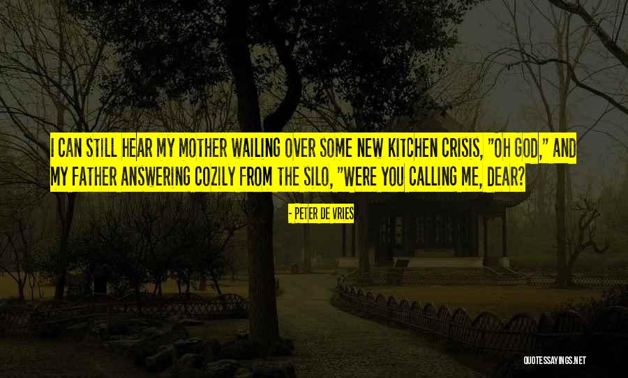 Super Hearing Subliminal Quotes By Peter De Vries Super Hearing Subliminal Quotes By Peter De Vries