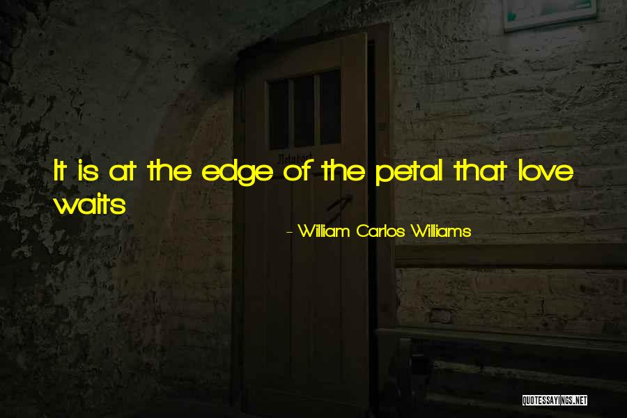 Super Hits Jennifer Rush Quotes By William Carlos Williams Super Hits Jennifer Rush Quotes By William Carlos Williams