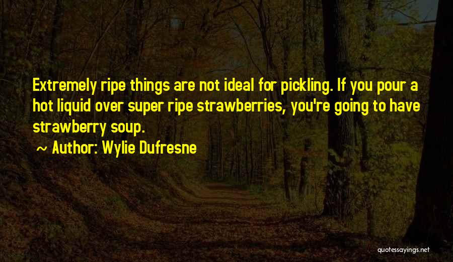 Super Hot Quotes By Wylie Dufresne