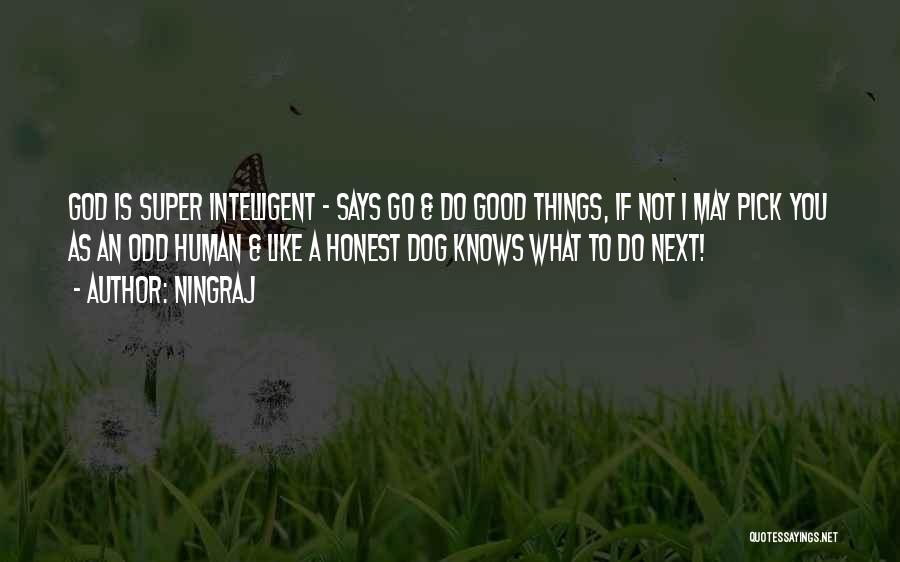 Super Intelligent Quotes By Ningraj