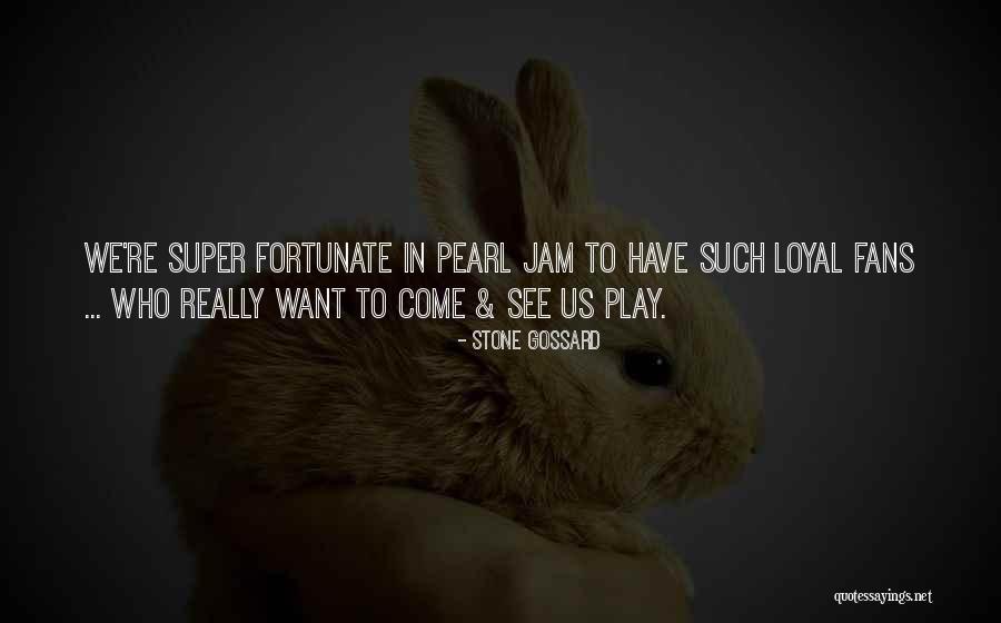 Super Quotes By Stone Gossard Super Quotes By Stone Gossard