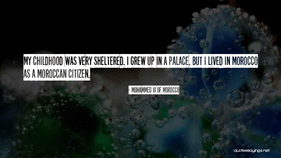 Super Weird Animals Quotes By Mohammed VI Of Morocco Super Weird Animals Quotes By Mohammed VI Of Morocco