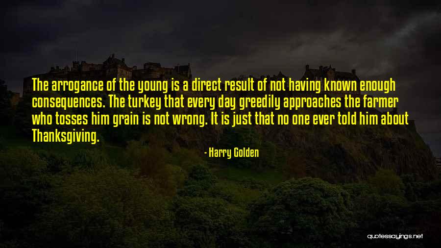 Superarse Quotes By Harry Golden Superarse Quotes By Harry Golden