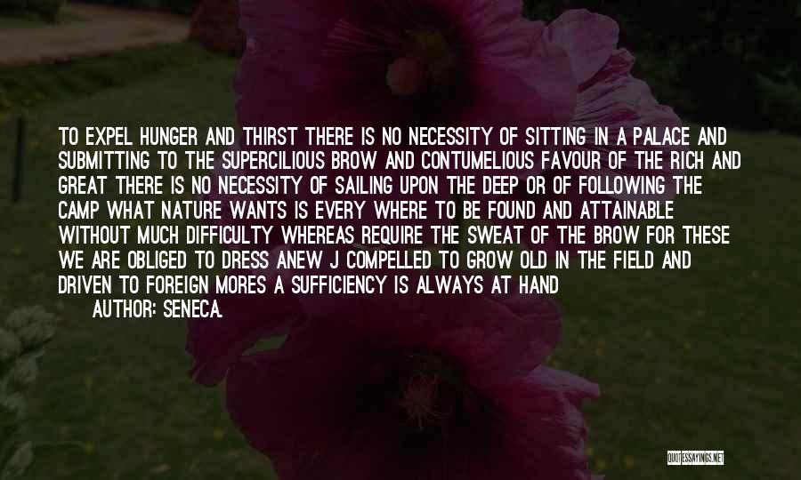 Supercilious Quotes By Seneca.