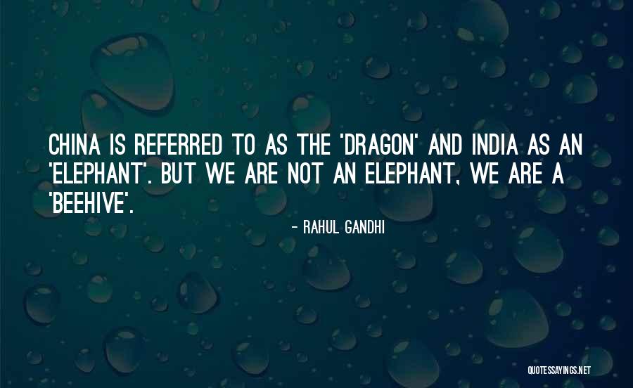 Superclass Gnathostomata Quotes By Rahul Gandhi Superclass Gnathostomata Quotes By Rahul Gandhi
