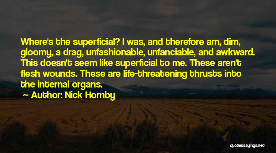 Superficial Life Quotes By Nick Hornby