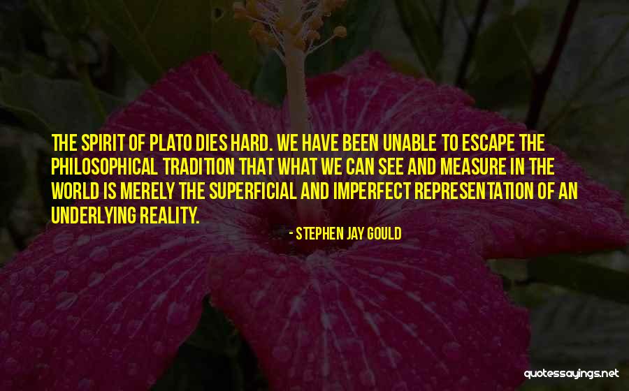 Superficial Quotes By Stephen Jay Gould