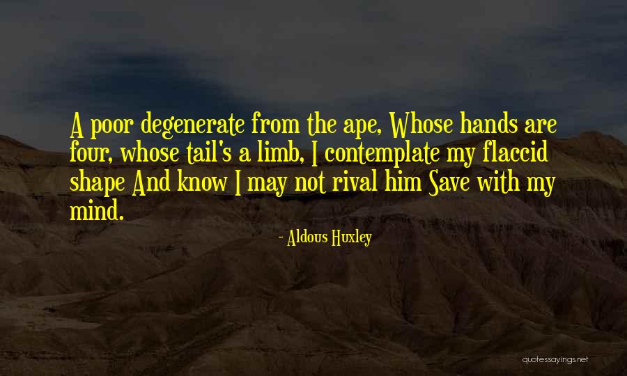 Superflu Quotes By Aldous Huxley Superflu Quotes By Aldous Huxley