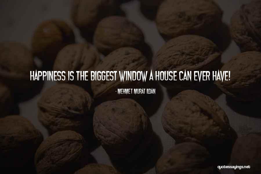 Superfluidity Of Naughtiness Quotes By Mehmet Murat Ildan Superfluidity Of Naughtiness Quotes By Mehmet Murat Ildan