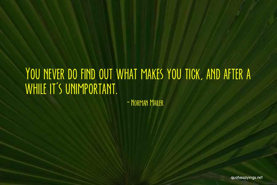 Superfun Quotes By Norman Mailer Superfun Quotes By Norman Mailer