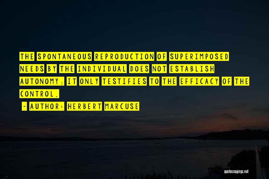 Superimposed Quotes By Herbert Marcuse