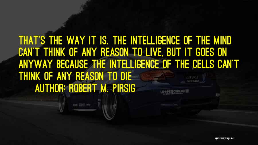 Superimposing Quotes By Robert M. Pirsig