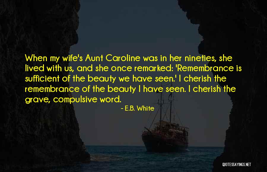 Superintendency Union Quotes By E.B. White Superintendency Union Quotes By E.B. White