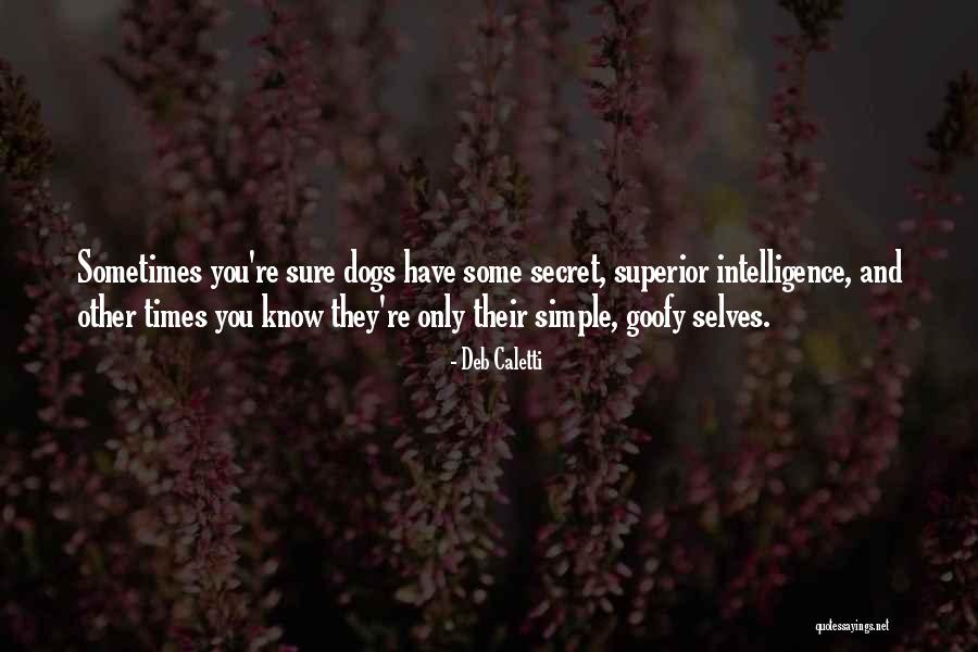 Superior Intelligence Quotes By Deb Caletti Superior Intelligence Quotes By Deb Caletti